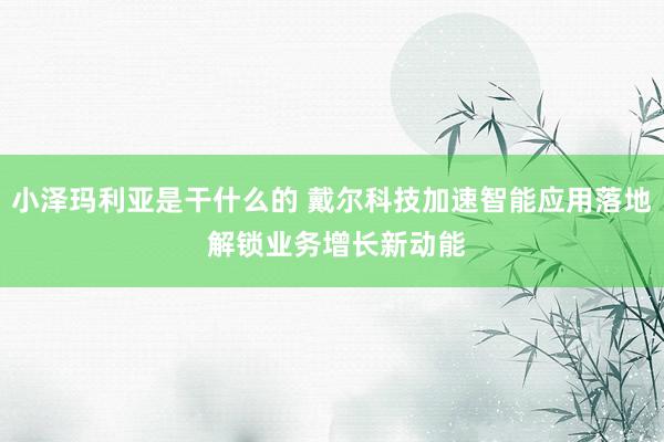 小泽玛利亚是干什么的 戴尔科技加速智能应用落地 解锁业务增长新动能