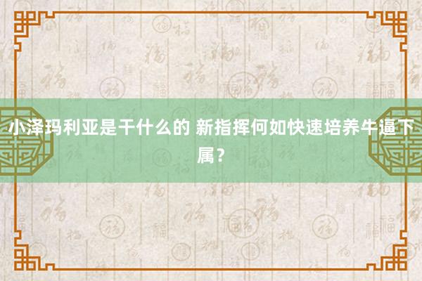 小泽玛利亚是干什么的 新指挥何如快速培养牛逼下属？