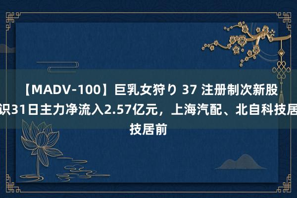 【MADV-100】巨乳女狩り 37 注册制次新股认识31日主力净流入2.57亿元，上海汽配、北自科技居前