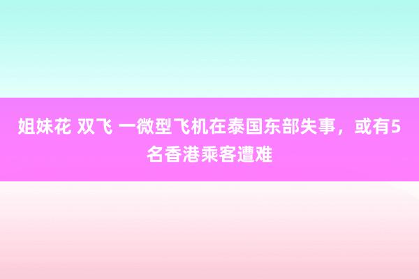 姐妹花 双飞 一微型飞机在泰国东部失事，或有5名香港乘客遭难