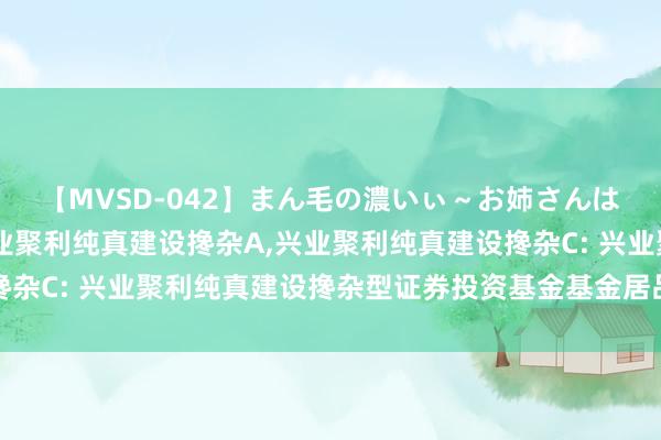 【MVSD-042】まん毛の濃いぃ~お姉さんは生中出しがお好き 兴业聚利纯真建设搀杂A,兴业聚利纯真建设搀杂C: 兴业聚利纯真建设搀杂型证券投资基金基金居品贵府摘录更新
