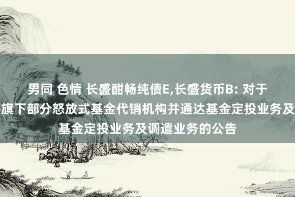 男同 色情 长盛酣畅纯债E,长盛货币B: 对于加多国投证券为旗下部分怒放式基金代销机构并通达基金定投业务及调遣业务的公告