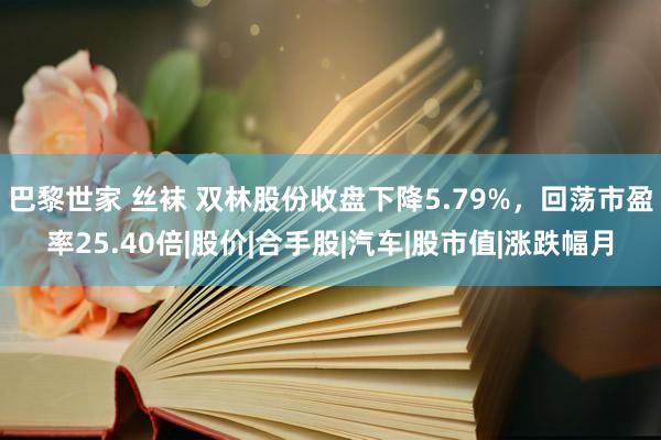 巴黎世家 丝袜 双林股份收盘下降5.79%，回荡市盈率25.40倍|股价|合手股|汽车|股市值|涨跌幅月