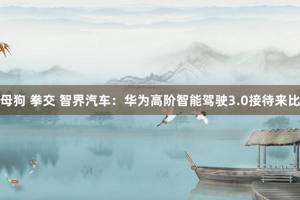 母狗 拳交 智界汽车：华为高阶智能驾驶3.0接待来比