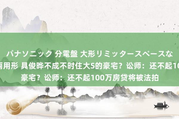 パナソニック 分電盤 大形リミッタースペースなし 露出・半埋込両用形 具俊晔不成不时住大S的豪宅？讼师：还不起100万房贷将被法拍