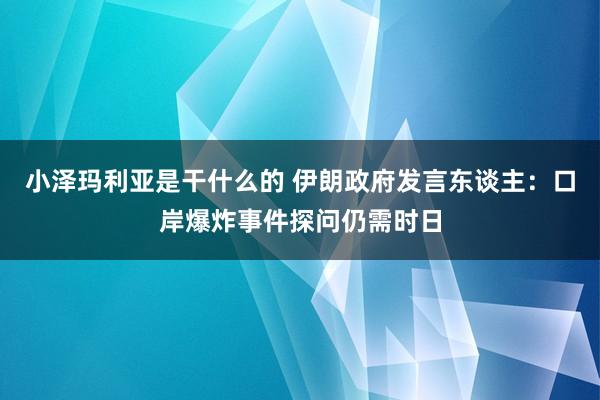 小泽玛利亚是干什么的 伊朗政府发言东谈主：口岸爆炸事件探问仍需时日