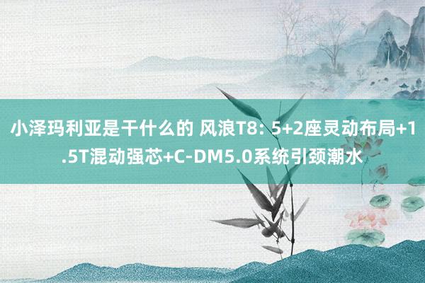 小泽玛利亚是干什么的 风浪T8: 5+2座灵动布局+1.5T混动强芯+C-DM5.0系统引颈潮水