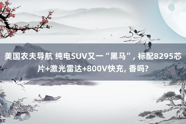 美国农夫导航 纯电SUV又一“黑马”， 标配8295芯片+激光雷达+800V快充， 香吗?