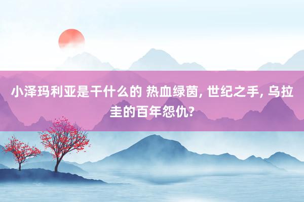 小泽玛利亚是干什么的 热血绿茵， 世纪之手， 乌拉圭的百年怨仇?