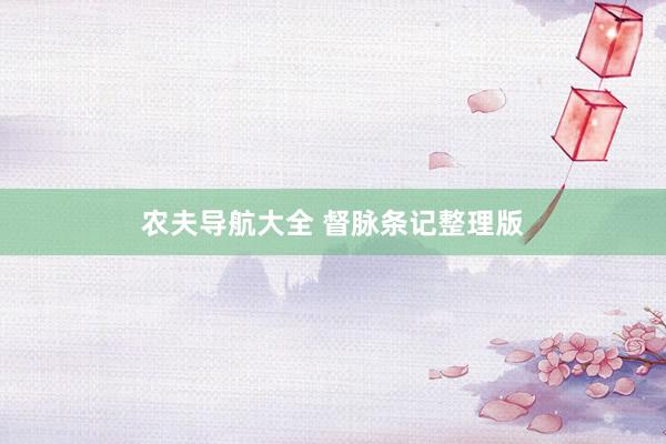农夫导航大全 督脉条记整理版