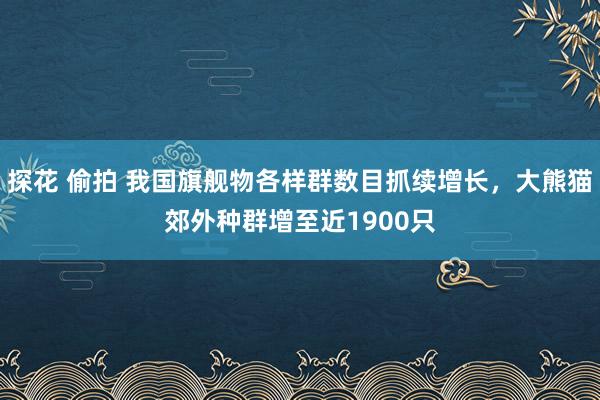 探花 偷拍 我国旗舰物各样群数目抓续增长，大熊猫郊外种群增至近1900只