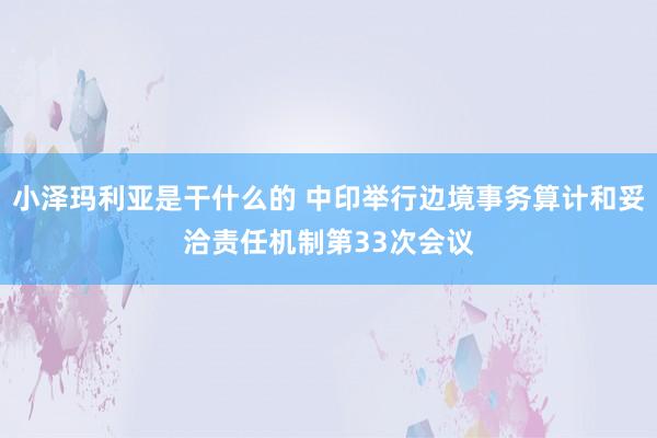 小泽玛利亚是干什么的 中印举行边境事务算计和妥洽责任机制第33次会议